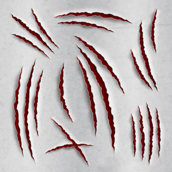 Claw scratches set