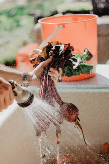 Cleaning Vegetables Cleaning Vegetables