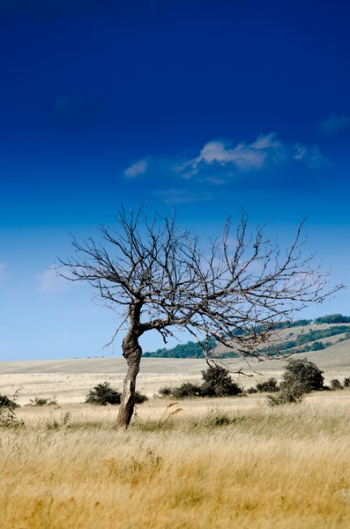 Clear Sky during Daytime