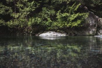Clear Water & Rocks Clear Water & Rocks