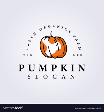 clever pumpkin line logo icon symbol clever pumpkin line logo icon symbol