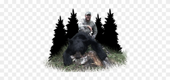 Click Here For More Info On Wolf Hunts - American Black Bear Click Here For More Info On Wolf Hunts - American Black Bear