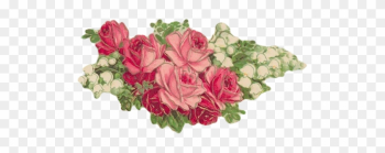 {click On Png Image To Download/save} - Garden Roses