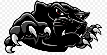 Clinch County High School, Carolina Panthers, Clinch County Elementary School, Logo, Fictional Character PNG