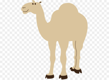 Clip art Bactrian camel Dromedary Image Free content - Clip art Bactrian camel Dromedary Image Free content -