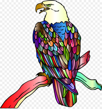 Clip art Bald eagle Bird Illustration - bird Clip art Bald eagle Bird Illustration - bird