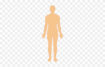 Clip Art Black And White Human Body Man - Human Body Png Clip Art Black And White Human Body Man - Human Body Png