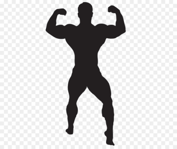 Clip art Bodybuilding Computer Icons Portable Network Graphics Exercise - bodybuilding 