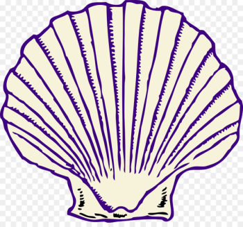 Clip art Clam Seashell Vector graphics Oyster - seashell Clip art Clam Seashell Vector graphics Oyster - seashell
