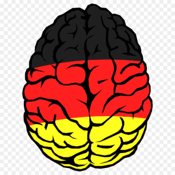Clip art Drawing Cartoon Illustration Human brain - brain Clip art Drawing Cartoon Illustration Human brain - brain