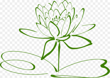 Clip art Drawing Sacred Lotus Portable Network Graphics Image - blossoms outline 