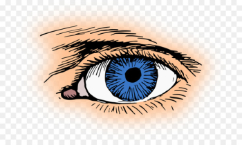 Clip art Eye color Iris Human eye - eye Clip art Eye color Iris Human eye - eye