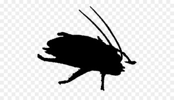 Clip art Fauna Carnivores Silhouette Pest - Clip art Fauna Carnivores Silhouette Pest -