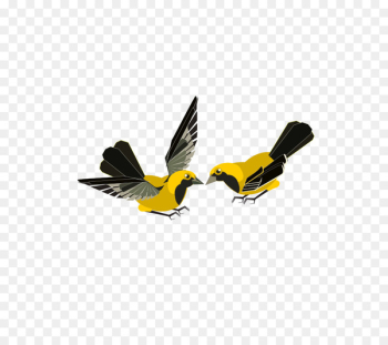 Clip art Finches Flight Bird Vector graphics - aves pennant Clip art Finches Flight Bird Vector graphics - aves pennant