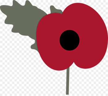 clip art flower poppy plant poppy family