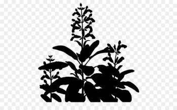 Clip art Flowering plant Plant stem Leaf - Clip art Flowering plant Plant stem Leaf -