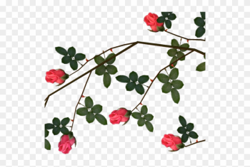 Clip Art Graphics - Roses With Thorns Png Clip Art Graphics - Roses With Thorns Png