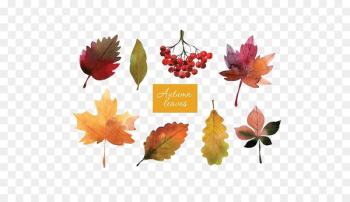 Clip art Illustration Watercolor painting Autumn Drawing - autumn name tags 