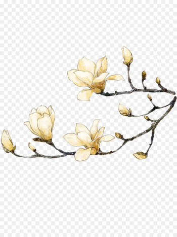 Clip art Image Yulan magnolia Design Portable Network Graphics - chengdu china 