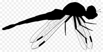 Clip art Insect Product design Line art - Clip art Insect Product design Line art -