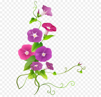 Clip art - Ipomoea Flower Transparent PNG Clip Art Image 