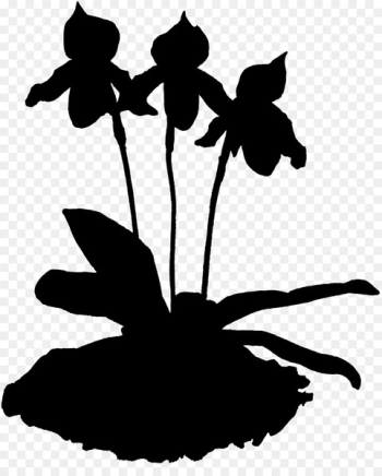 Clip art Leaf Silhouette Plant stem Flowering plant - Clip art Leaf Silhouette Plant stem Flowering plant -