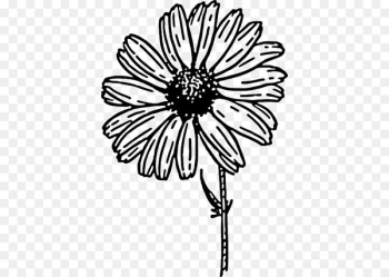 Clip art Openclipart Common daisy Drawing Image - margarita negra 