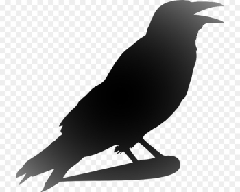Clip art Openclipart Crow Image Portable Network Graphics - crow 
