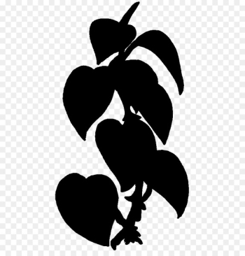Clip art Organ Flower Silhouette Leaf -  