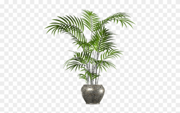 Clip Art Palm Tree, Palm Tree In Pot Png Transparent - Palm Tree In Pot Png