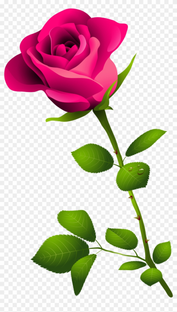 Clip Art Pink Rose Pink - Happy Rose Day Image Download