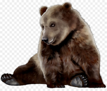 Clip art Portable Network Graphics Bear Image Download -  