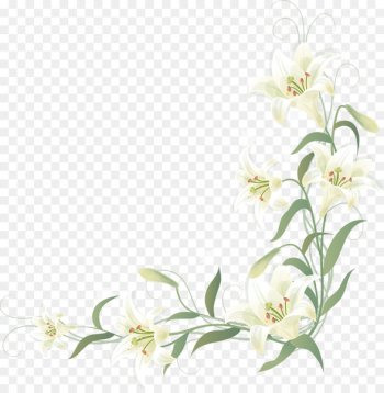 Clip art Portable Network Graphics Flower Vector graphics Image - flower 