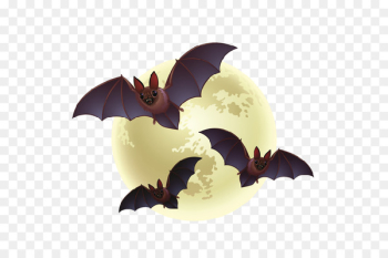 Clip art Portable Network Graphics Halloween Image Download - Halloween 