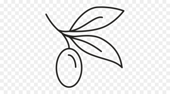 Clip art Product Leaf Line art Plant stem - organic argan oil for skin 