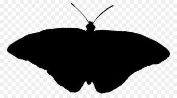 Clip art Silhouette M. Butterfly Black M - Clip art Silhouette M. Butterfly Black M -