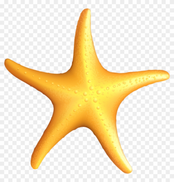 Clip Art Starfish - Starfish Clipart Clip Art Starfish - Starfish Clipart