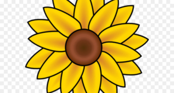 Clip art Vector graphics Common sunflower Illustration Image - cq border 