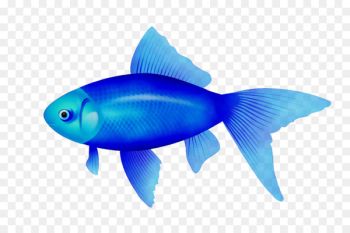 Clip art Vector graphics Fish Image Portable Network Graphics -  