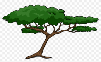 Clipart African Tree Trees - Clip Art Acacia Tree