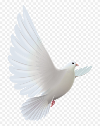 Clipart Bird Descending - White Dove