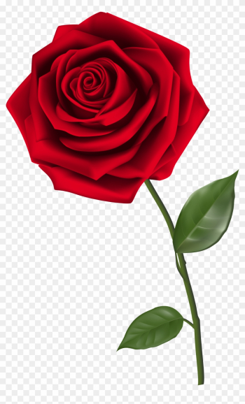 Clipart Homey Idea Rose Clipart Single Red Png Image - Red Rose Png