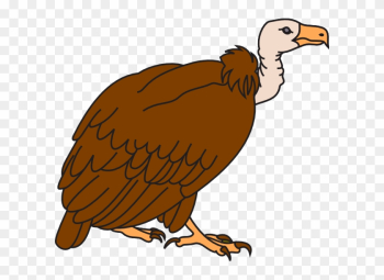 Clipart Image Of Vulture Clipart Image Of Vulture