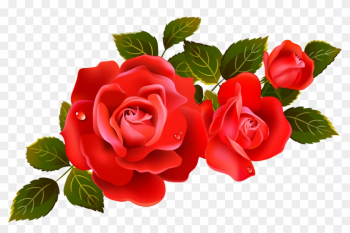 Clipart Marvellous Design Red Rose Clipart Large Roses - Transparent Background Roses Png