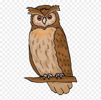 Clipart Of Owl Free Owl Clipart Animations - Owl Images Clip Art