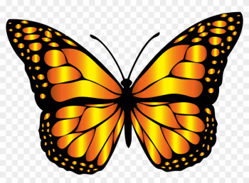 Clipart Orange Butterflies Butterfly Clip Art Free - Clip Art Monarch Butterfly