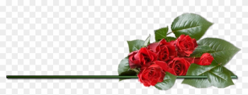 Clipart Rose Png Best Image - Valentines Day Beautiful Roses