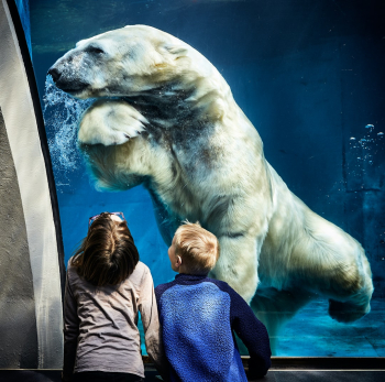 Close Encounter. In Pittsburgh Zoo. Close Encounter. In Pittsburgh Zoo.