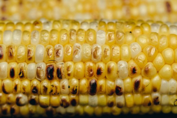Close Up Grilled Corn Close Up Grilled Corn