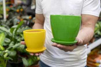 Close-up man holding flowerpots Free Photo Close-up man holding flowerpots Free Photo
